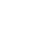SPASS